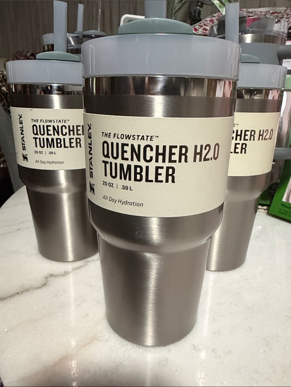 Stanley Stainless Steel Quencher Tumbler with Light Green Lid